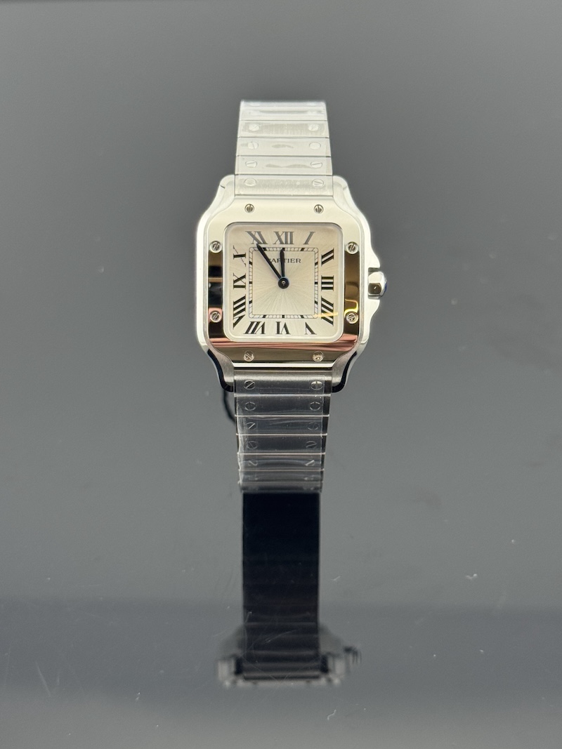 SANTOS MOD. PICCOLO REF. WSSA0082