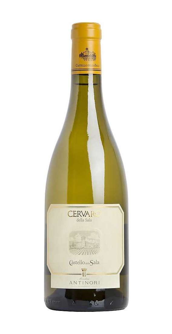 MARCHESE ANTINORI CERVARO DELLA SALA 2023